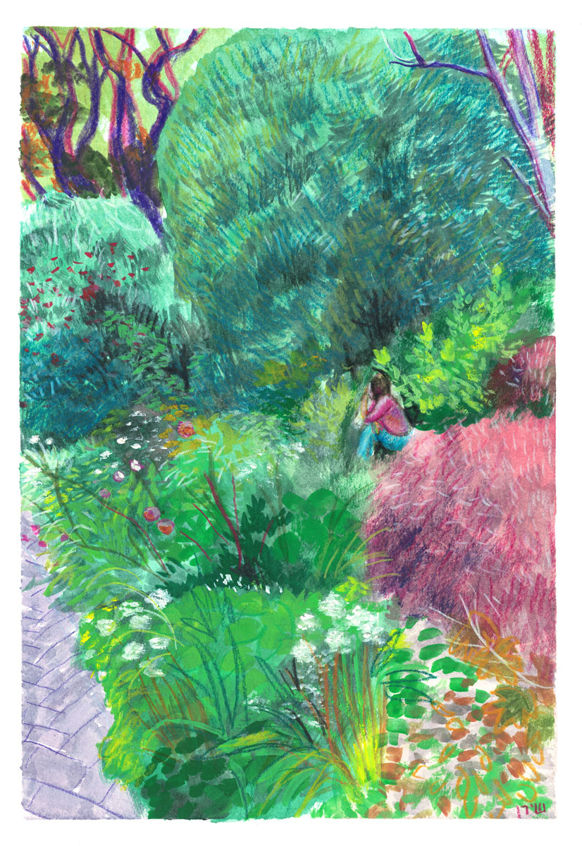 botanical garden illustration
